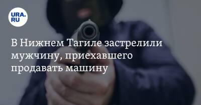 В Нижнем Тагиле застрелили мужчину, приехавшего продавать машину