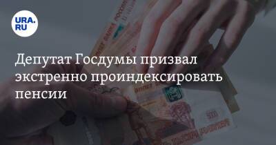 Депутат Госдумы призвал экстренно проиндексировать пенсии