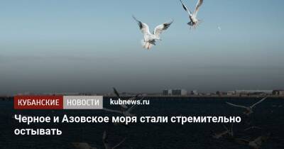 Черное и Азовское моря стали стремительно остывать