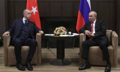 Глава МИД Турции: Путин заявил Эрдогану, что не против встречи с Зеленским