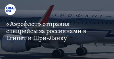 «Аэрофлот» отправил спецрейсы за россиянами в Египет и Шри-Ланку