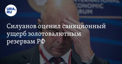 Силуанов оценил санкционный ущерб золотовалютным резервам РФ
