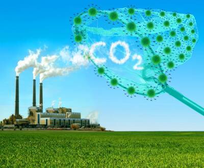 Китай испытал установку для превращения CO2 в биотопливо с октановым числом 90