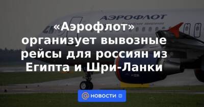 «Аэрофлот» организует вывозные рейсы для россиян из Египта и Шри-Ланки