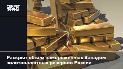 Раскрыт объём замороженных Западом золотовалютных резервов России