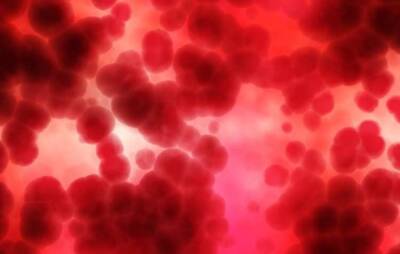 Ученые назвали группу крови нестареющих людей