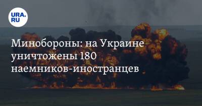 Минобороны: на Украине уничтожены 180 наемников-иностранцев