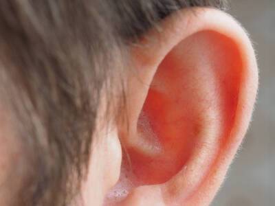 Британские ученые создадут уши и носы из человеческих клеток