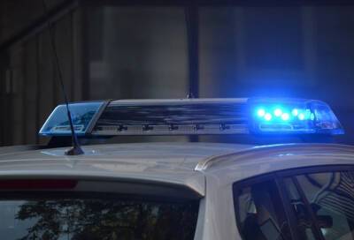 Полицейские задержали двух подозреваемых в поджоге девяти автомобилей под Петербургом