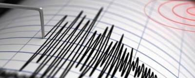Вблизи Индонезии произошло землетрясение магнитудой 6,6