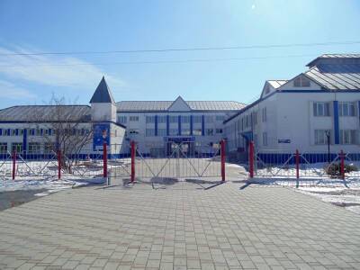Пушкинская гимназия ждет подрядчика и капитального ремонта кровли