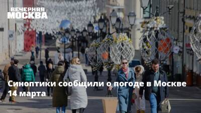 Синоптики сообщили о погоде в Москве 14 марта