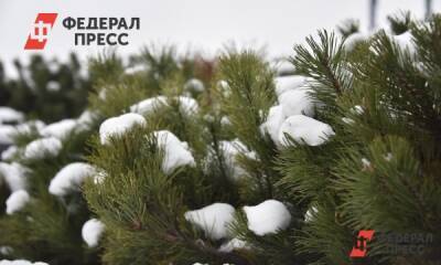 Синоптики назвали время начала осадков во Владивостоке