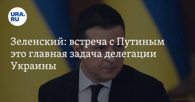 Зеленский: встреча с Путиным это главная задача делегации Украины