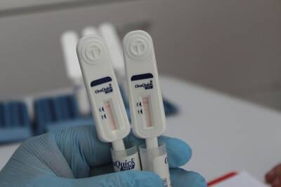 Жительницам Новосибирска начнут доставлять бесплатные тесты на ВИЧ и гепатит С - tayga.info - Россия - Новосибирск