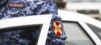Бойцы Росгвардии Карелии задержали двух человек, подозреваемых в преступлениях