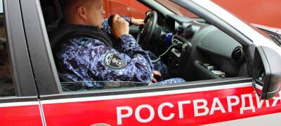 Росгвардейцы задержали жителя Петрозаводска, позарившегося на автомобильные ароматизаторы