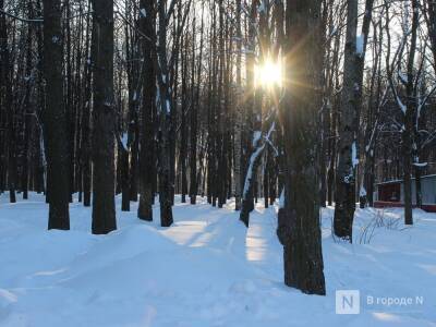Небольшой снег и потепление до 0°С придут в Нижний Новгород на этой неделе