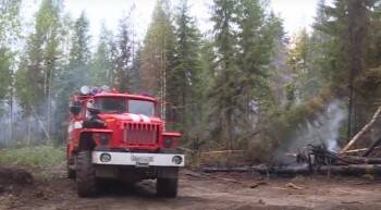 В Вологодскую область поступит новая лесопожарная техника