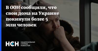 В ООН сообщили, что свои дома на Украине покинули более 5 млн человек