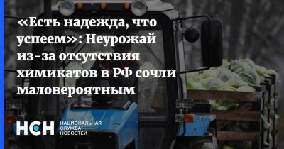 «Есть надежда, что успеем»: Неурожай из-за отсутствия химикатов в РФ сочли маловероятным