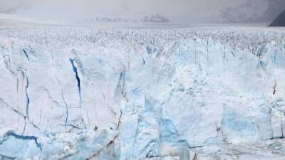 На леднике Ларсен-Б в Антарктиде зафиксировали резкую потерю льда