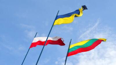 Польша и Литва призвали предоставить Украине статус страны-кандидата в ЕС