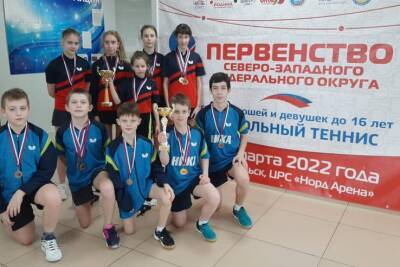 Теннисисты из Ленобласти завоевали золотые и бронзовые медали на Первенстве СЗФО
