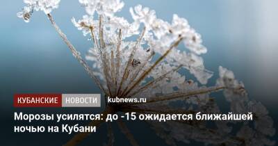 Морозы усилятся: до -15 ожидается ближайшей ночью на Кубани