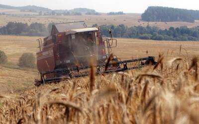 Россия с 15 марта по 30 июня может запретить экспорт пшеницы, ржи, ячменя и кукурузы - interfax-russia.ru - Россия