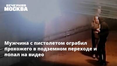 Екатерина Гузь - Мужчина с пистолетом ограбил прохожего в подземном переходе и попал на видео - vm.ru - Москва - Россия