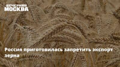 Россия приготовилась запретить экспорт зерна - vm.ru - Россия - Украина