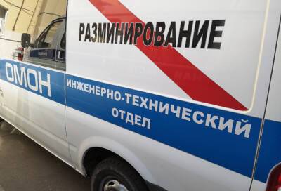 В Санкт-Петербурге взрывотехники обезвредили гранату на чердаке жилого дома