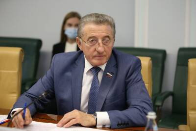 Воронежский сенатор рассказал об адаптации отечественной экономики к новым условиям