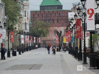 Почти 9 млн рублей выделено на украшение Нижнего Новгорода к 9 Мая и Дню России