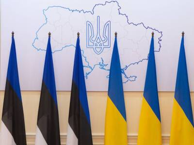 Парламент Эстонии призвал страны-члены ООН закрыть небо над Украиной