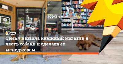 Семья назвала книжный магазин в честь собаки и сделала ее менеджером