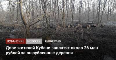 Двое жителей Кубани заплатят около 26 млн рублей за вырубленные деревья