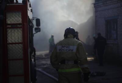 Ночью в Пушкине за раз сгорели три автомобиля