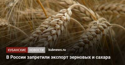 В России запретили экспорт зерновых и сахара
