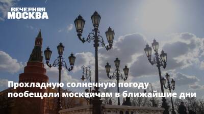 Прохладную солнечную погоду пообещали москвичам в ближайшие дни