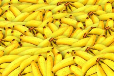 Производители бананов в Эквадоре попросили поддержки от властей из-за антироссийских санкций