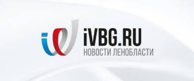 Ivbg вошел в топ-25 самых цитируемых изданий Петербурга и Ленобласти
