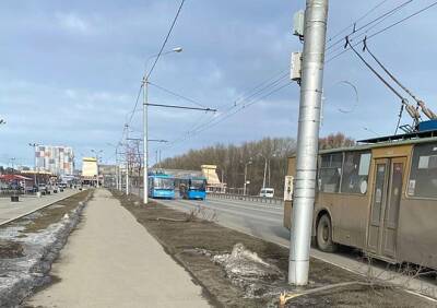 Вандалы сломали деревья на Московском шоссе