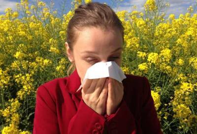 Аллерголог Логина перечислила опасные последствия запущенной аллергии