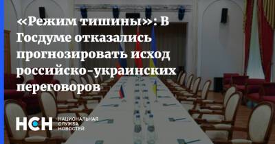 «Режим тишины»: В Госдуме отказались прогнозировать исход российско-украинских переговоров