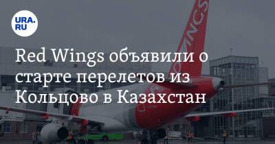 Red Wings объявили о старте перелетов из Кольцово в Казахстан
