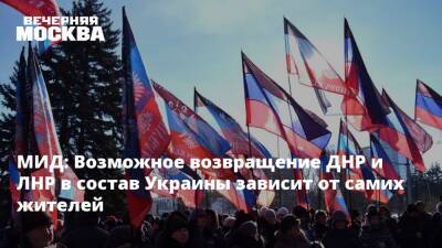 МИД: Возможное возвращение ДНР и ЛНР в состав Украины зависит от самих жителей