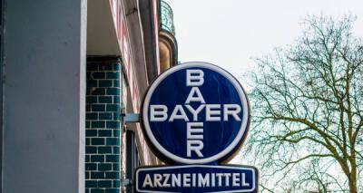 Bayer приостановила инвестиции в Россию и Беларусь
