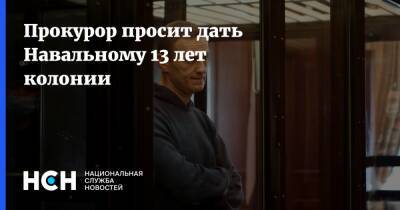 Алексей Навальный - Надежда Тихонова - Прокурор просит дать Навальному 13 лет колонии - nsn.fm - Москва